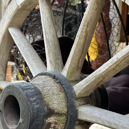 Horská chata лісова хатина-чан Soymy