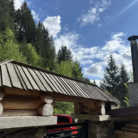 лісова хатина-чан *