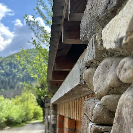 лісова хатина-чан * Soymy