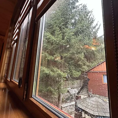 лісова хатина-чан *