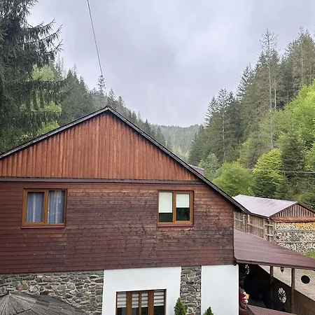 лісова хатина-чан * Soymy