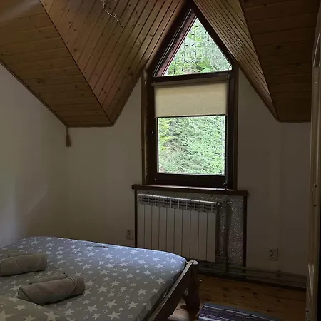 лісова хатина-чан Σαλέ Soymy