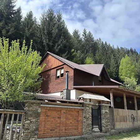 лісова хатина-чан * Soymy