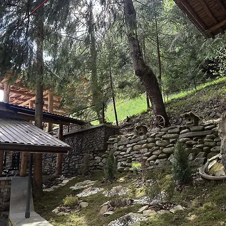 Chalet лісова хатина-чан Soymy