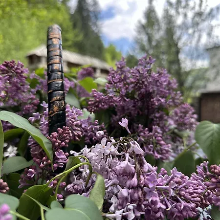 лісова хатина-чан Chalet *