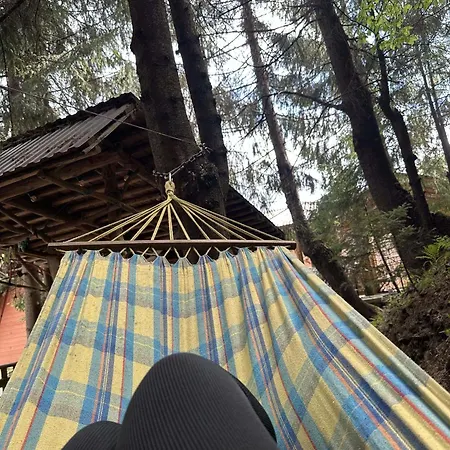 лісова хатина-чан *