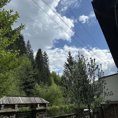 лісова хатина-чан Chalet *