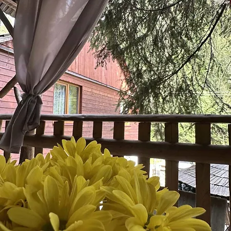 лісова хатина-чан Soymy